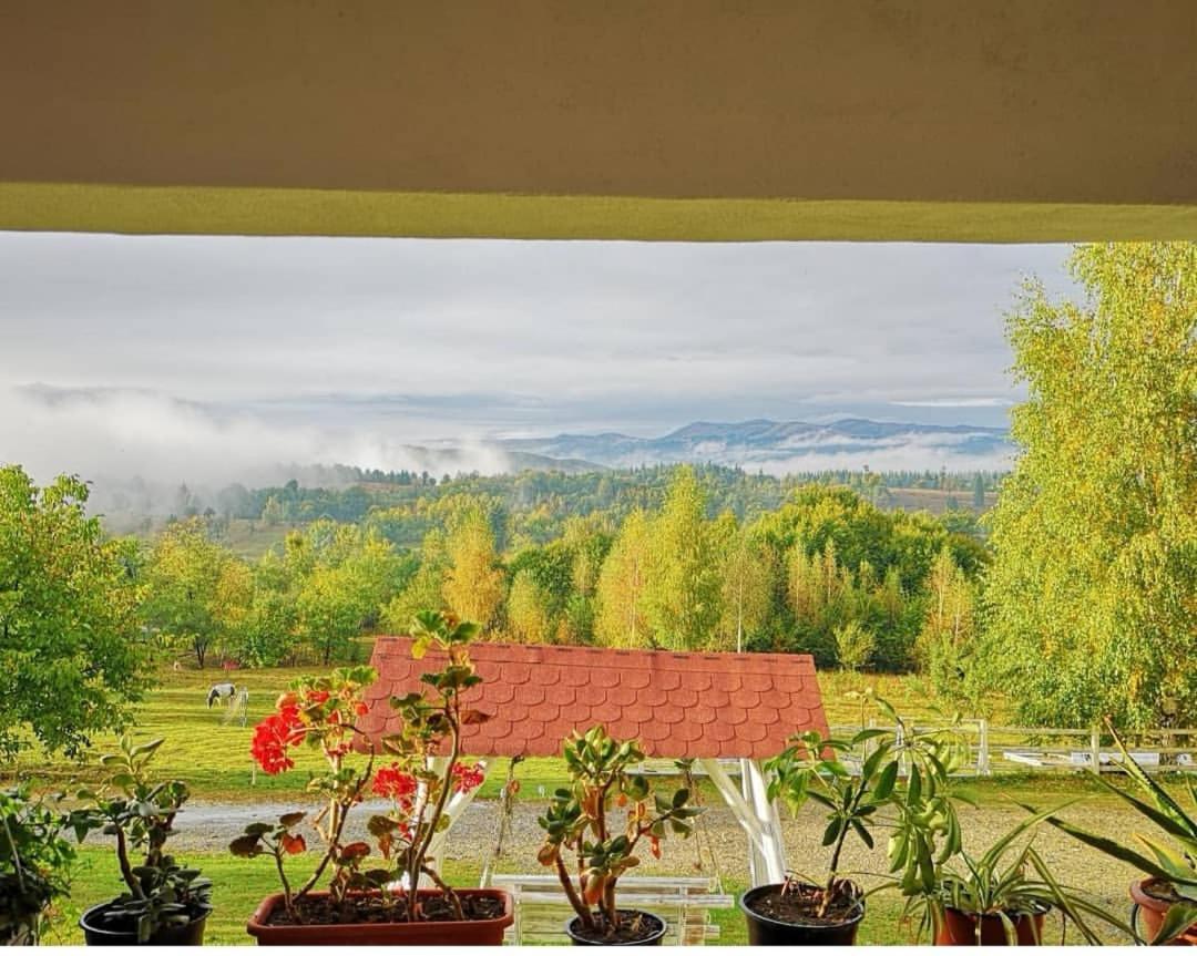 Pensiunea Gradina Ascunsa Bughea de Jos Exterior photo